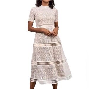 NWT Baltic Born Windsor Lace Midi Dress in Ivory Size Small Fall Wedding Bridal